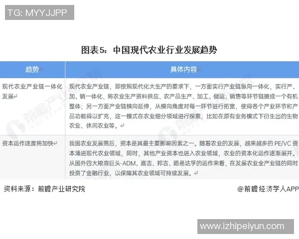 北京攀岩队的成功运营模式与发展策略深度分析与解读